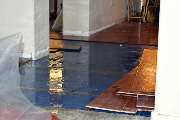 Professional Burst Pipe Cleanup technician working in Lake Nebagamon, WI